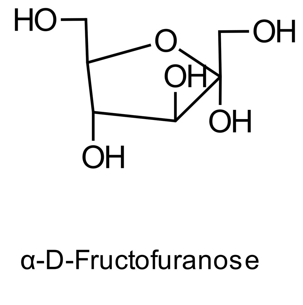 Classes of Monosaccharides, image size:992x999
