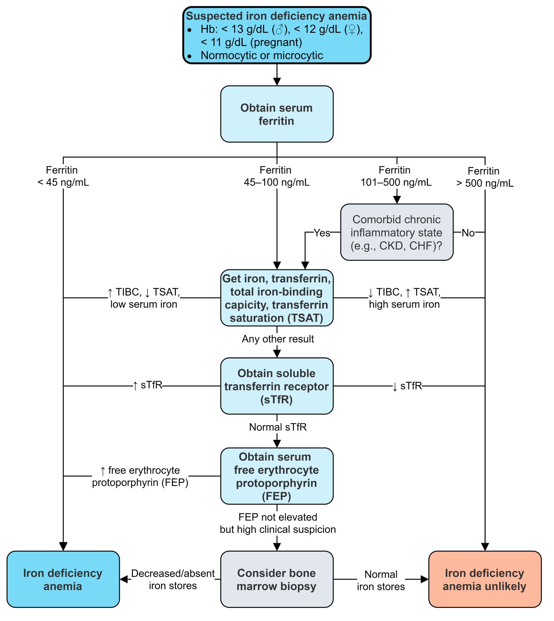 Iron Deficiency Anaemia Child Guidelines