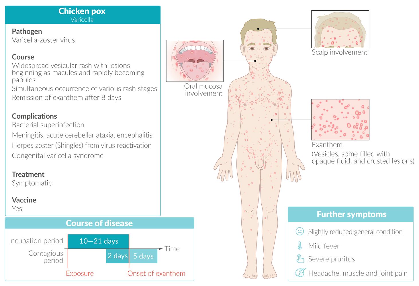 Numbered Diseases Of Childhood Rashes