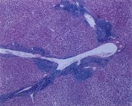 Pathology techniques - Knowledge @ AMBOSS