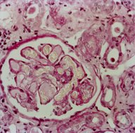 Pathology techniques - Knowledge @ AMBOSS