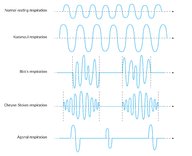 Respiratory physiology - Knowledge @ AMBOSS
