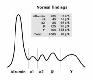 Protein analysis - Knowledge @ AMBOSS