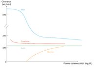 Physiology of the kidney - Knowledge @ AMBOSS