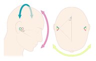 The ear - Knowledge @ AMBOSS