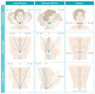 Thoracic spine and rib osteopathy - Knowledge @ AMBOSS