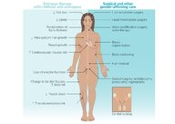 Principles of transgender health care - Knowledge @ AMBOSS