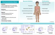 Congenital immunodeficiency disorders - Knowledge @ AMBOSS