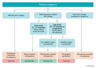 Maternal complications during pregnancy - Knowledge @ AMBOSS